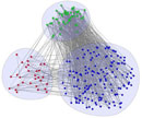 Grouped Network